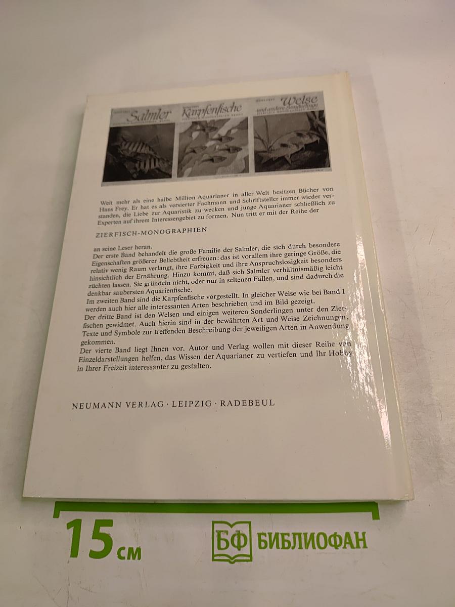 Buntbarsche Cichliden