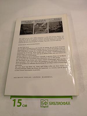 Buntbarsche Cichliden