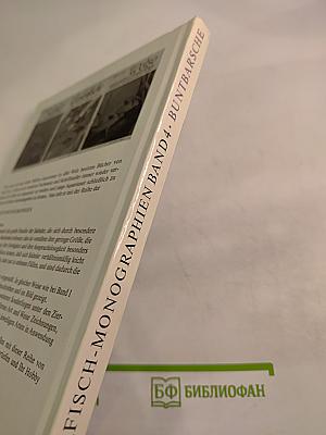 Buntbarsche Cichliden