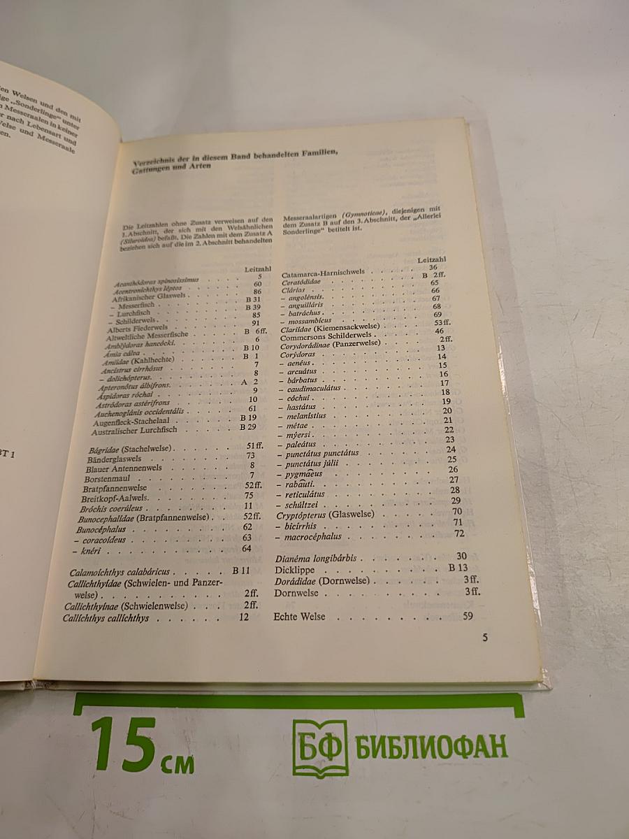 Welse und andere Sonderlinge