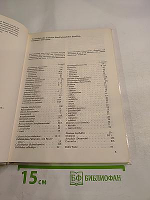 Welse und andere Sonderlinge