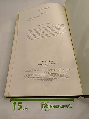 Американская трагедия. Часть вторая