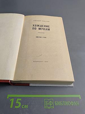Хождение по мукам. Хмурое утро