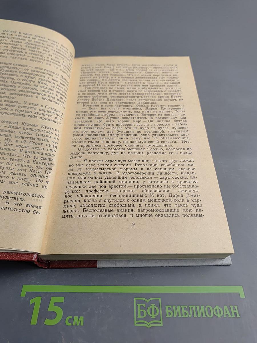 Хождение по мукам. Хмурое утро