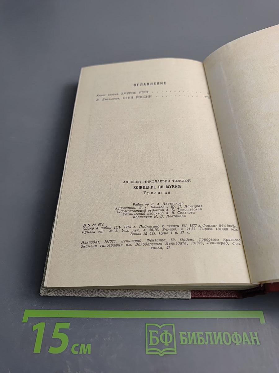 Хождение по мукам. Хмурое утро