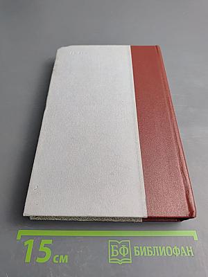 Хождение по мукам. Хмурое утро