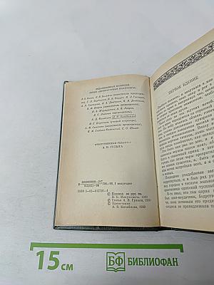 Ночные бдения