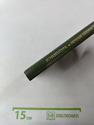 Ночные бдения