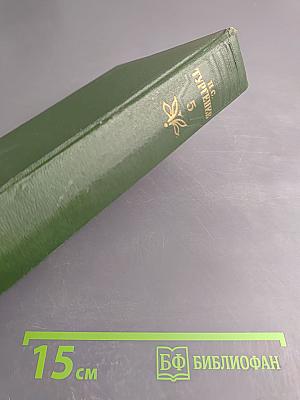 Собрание сочинений. Том 5: Повести и рассказы 1844-1858 годов