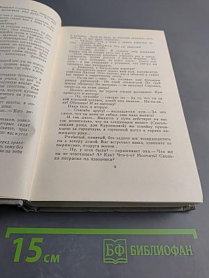 Собрание сочинений. Том пятый: Рассказы 1887