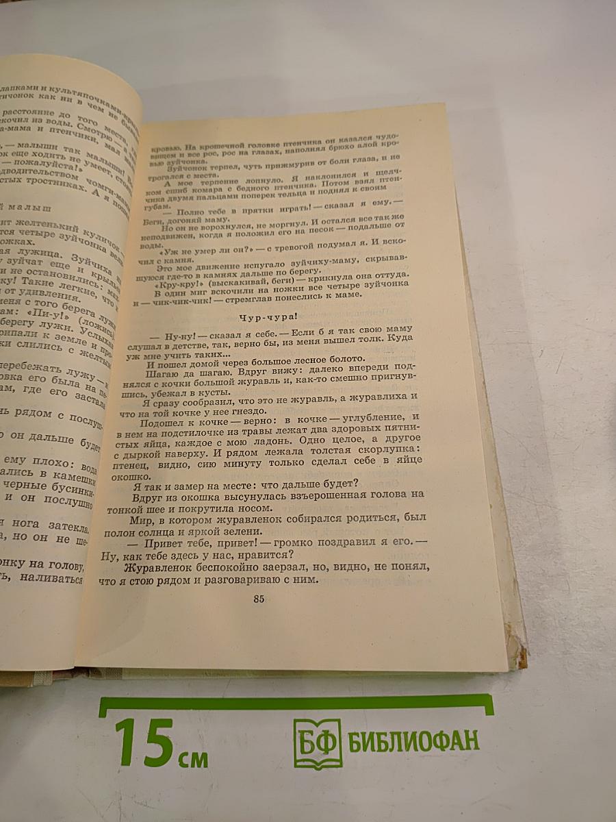 Капли солнца