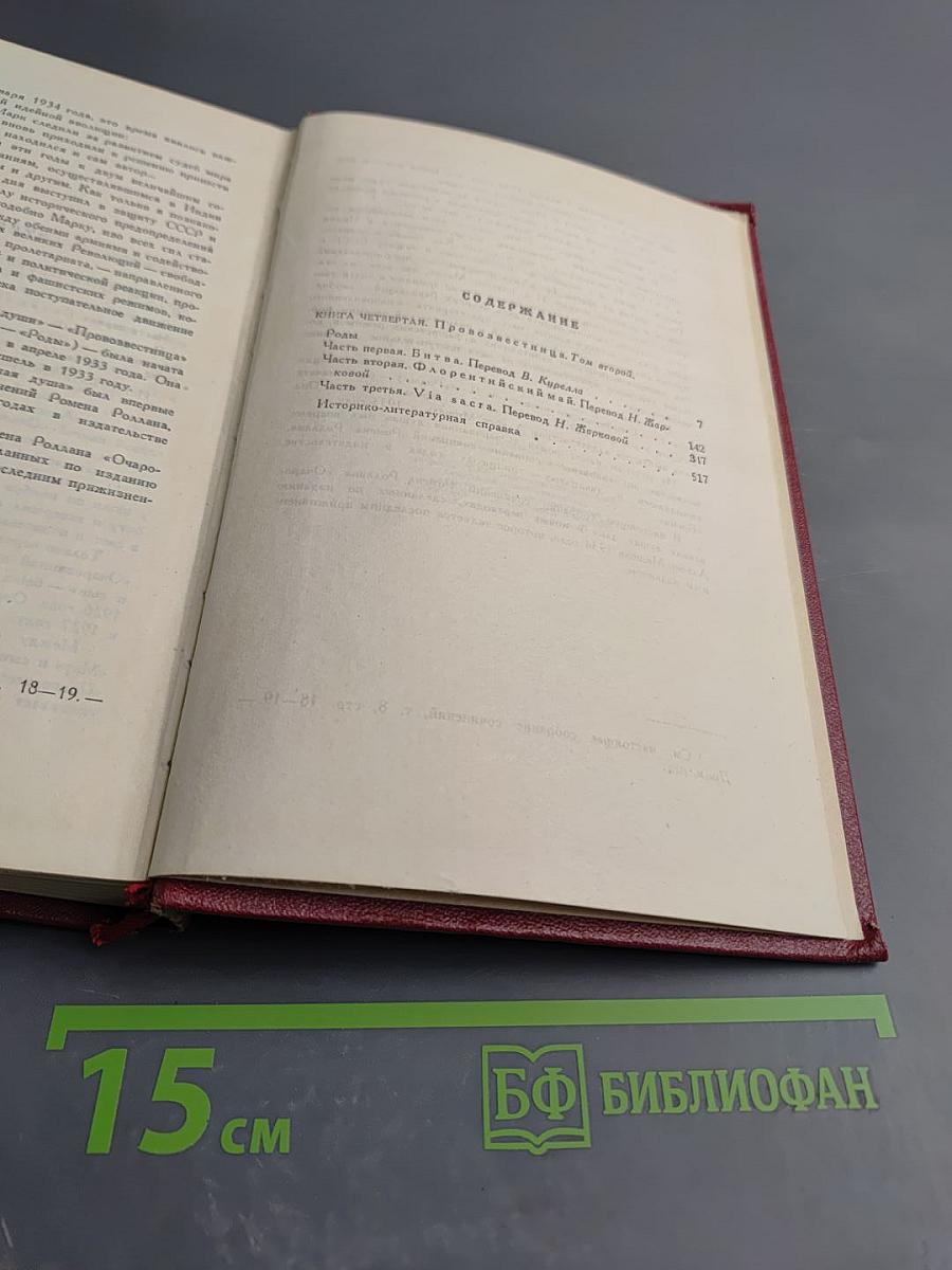 Собрание сочинений. Том одиннадцатый. Очарованная душа