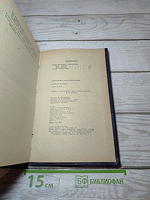Великий Моурави. Книга шестая. Город мелодичных колокольчиков
