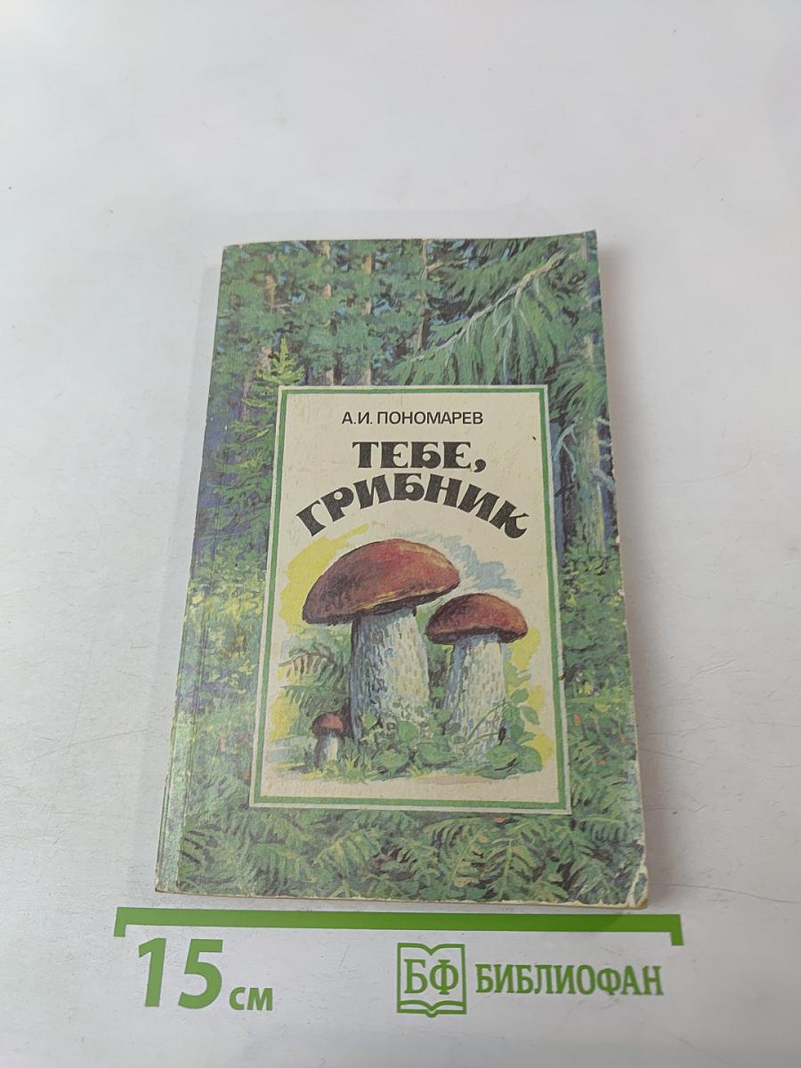 Тебе, грибник