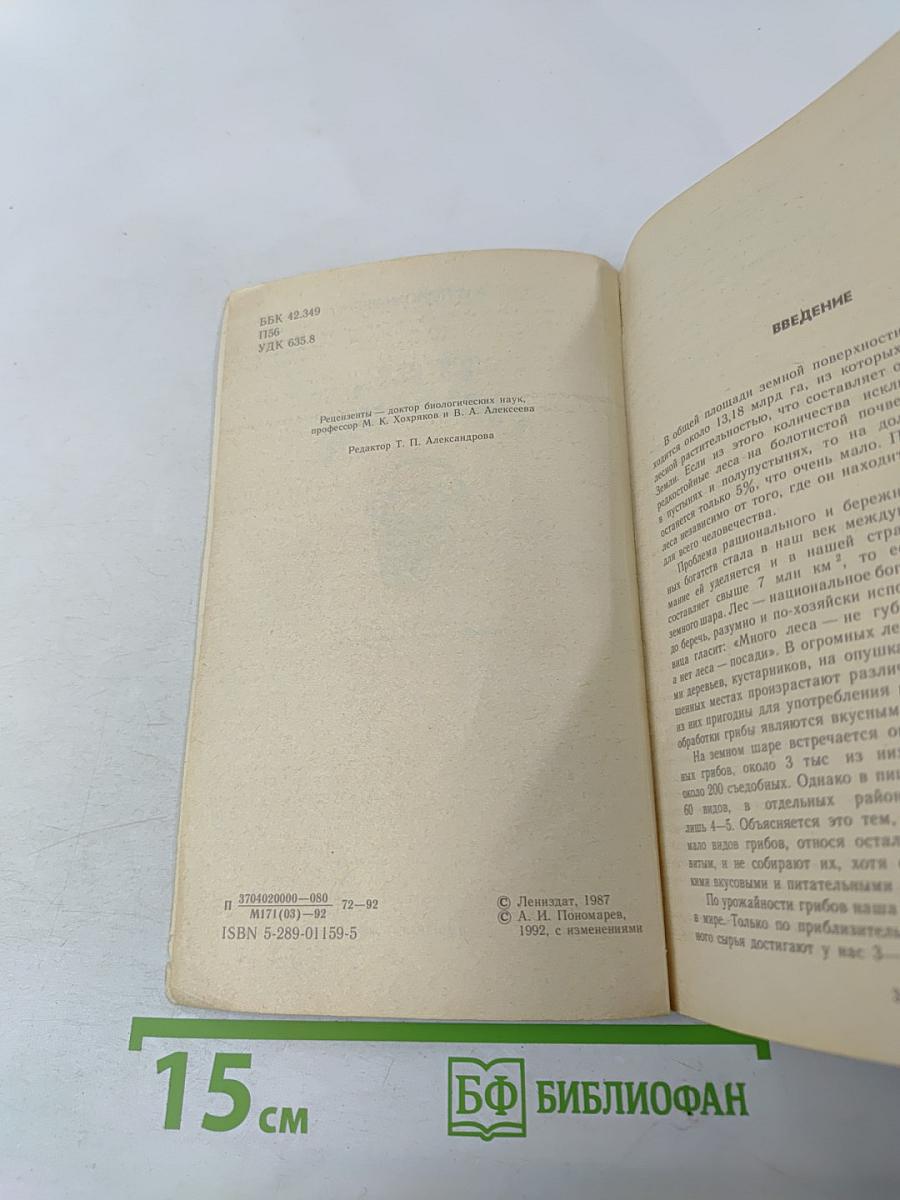 Тебе, грибник