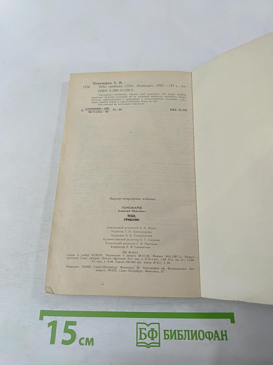 Тебе, грибник