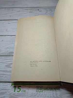 Великий Моурави. Книга шестая. Город мелодичных колокольчиков