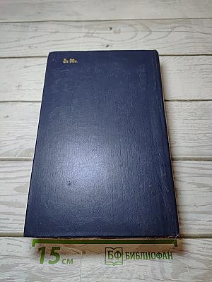 Великий Моурави. Книга шестая. Город мелодичных колокольчиков