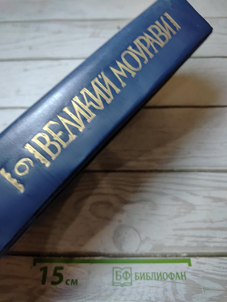 Великий Моурави. Книга шестая. Город мелодичных колокольчиков