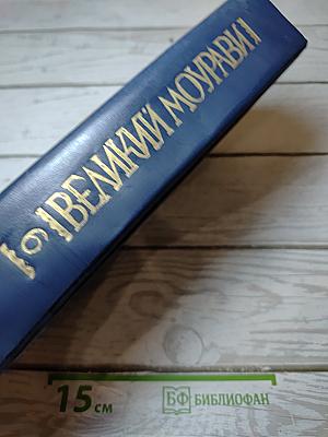 Великий Моурави. Книга шестая. Город мелодичных колокольчиков