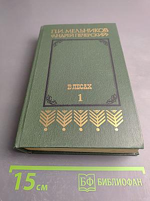 В лесах. Книга первая