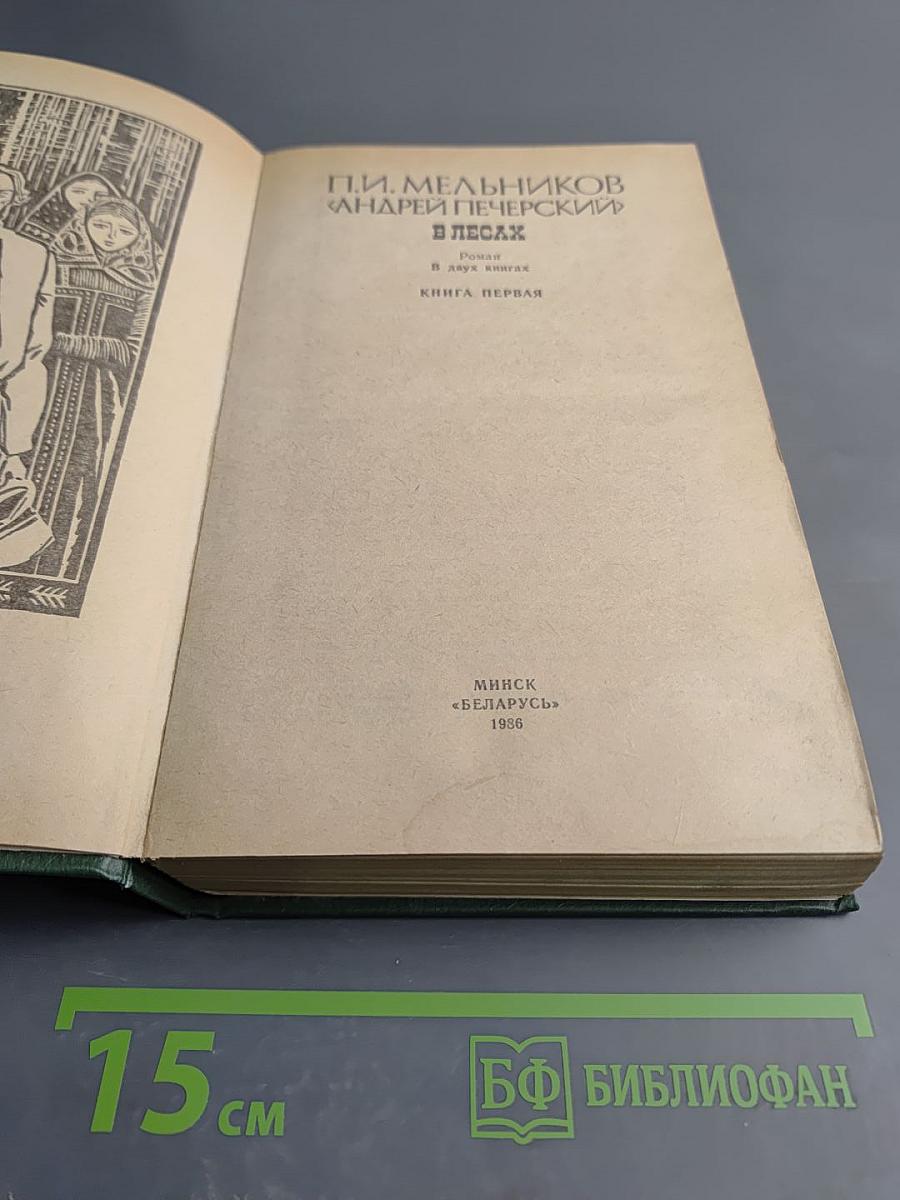 В лесах. Книга первая