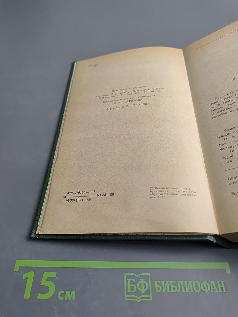 В лесах. Книга первая