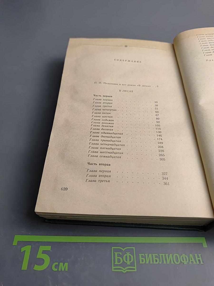 В лесах. Книга первая