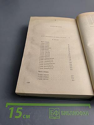 В лесах. Книга первая