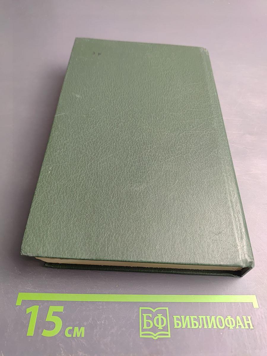 В лесах. Книга первая