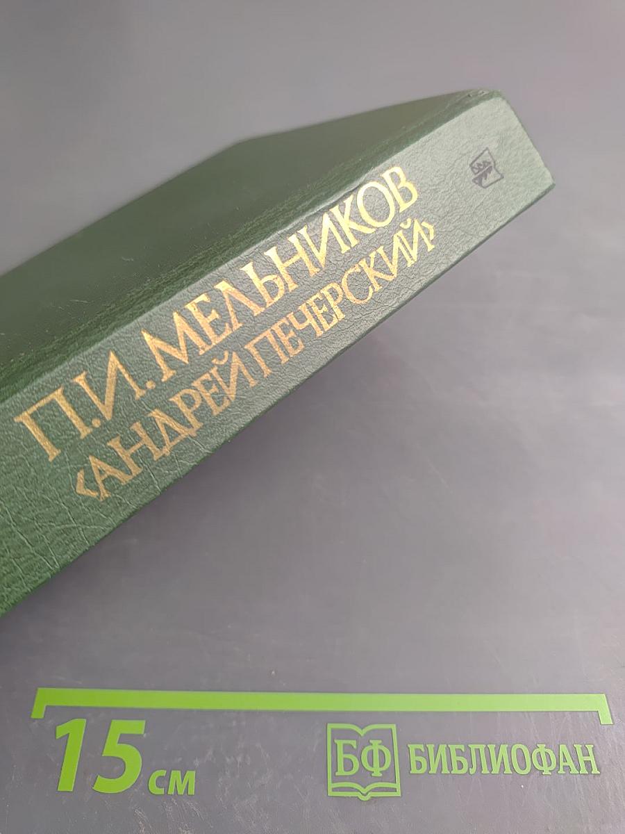 В лесах. Книга первая