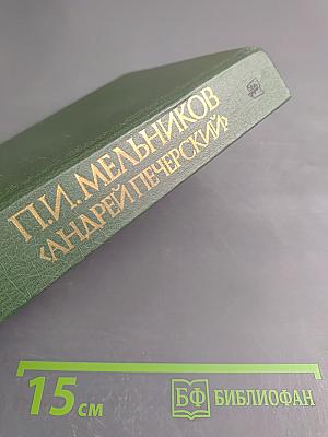 В лесах. Книга первая