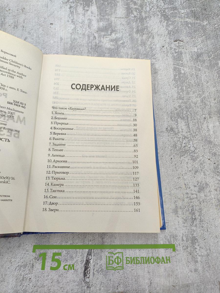 Новобранец - 3. Максимальная безопасность