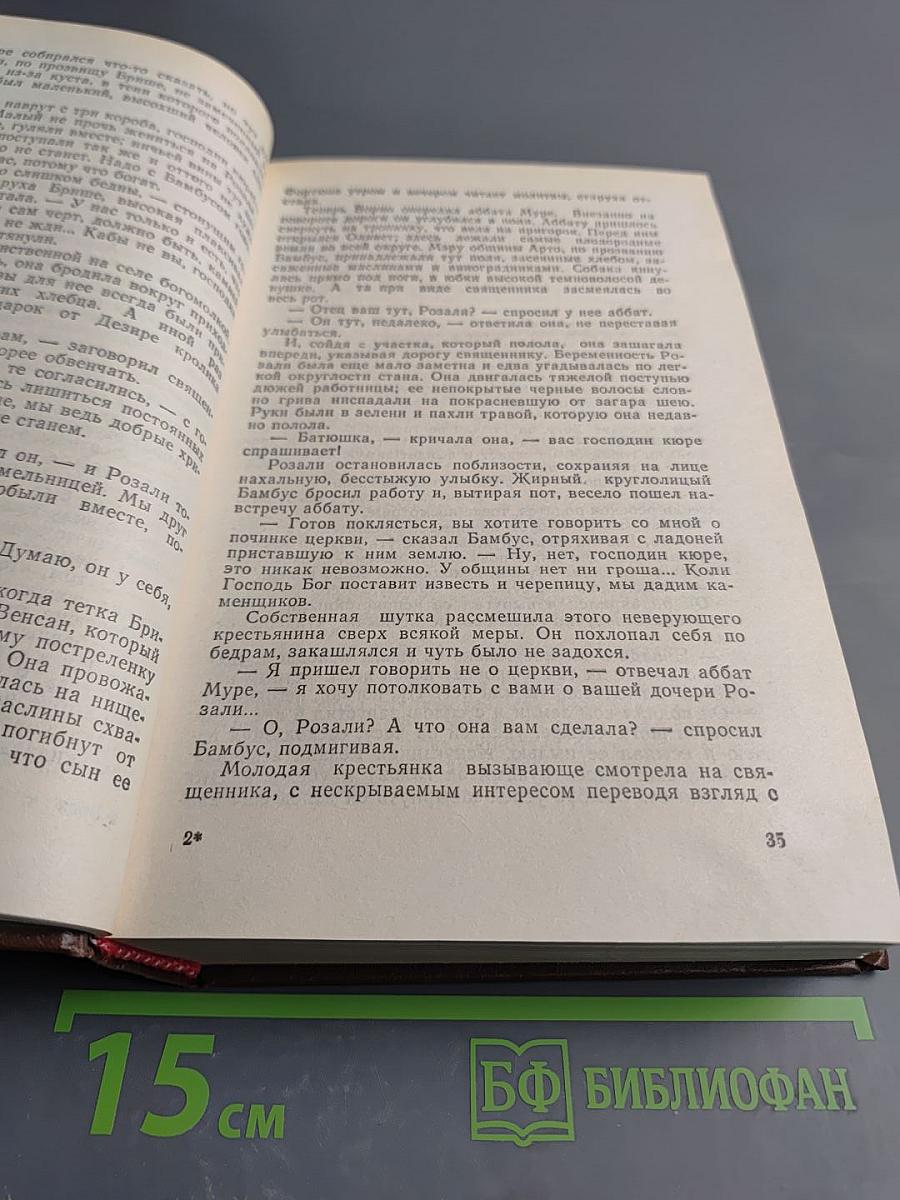 Проступок аббата Муре. Его превосходительство Эжен Ругон