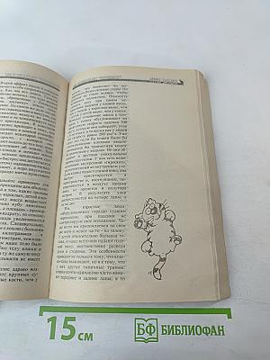 100 кошачьих "почему?"