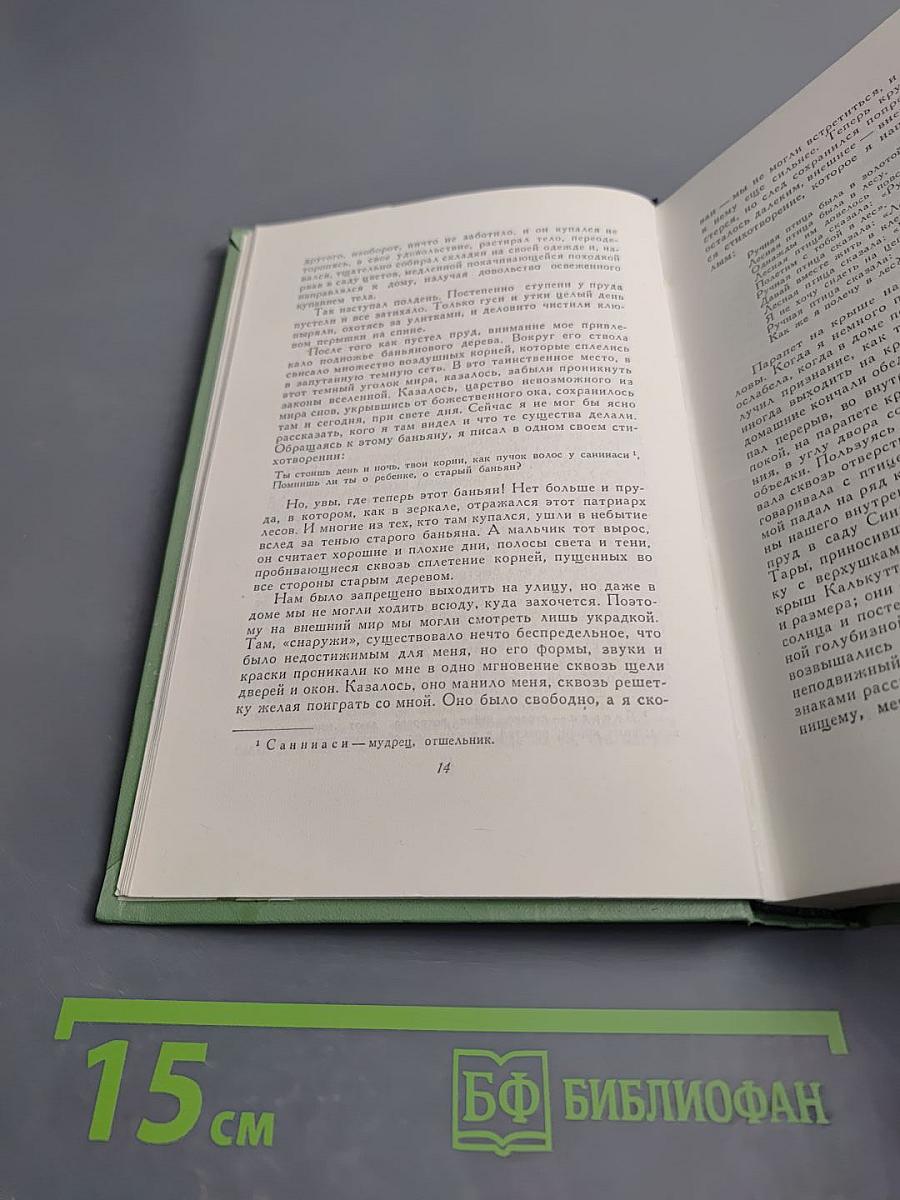Сочинения. Том восьмой: Воспоминания, Письма о России, Статьи
