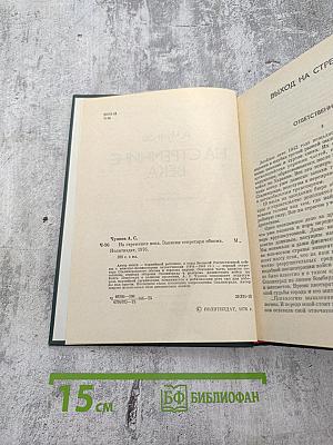 На стремнине века