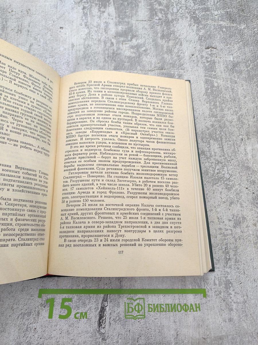 На стремнине века