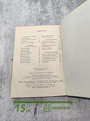 На стремнине века