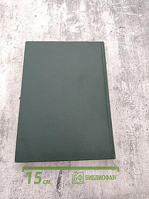 На стремнине века