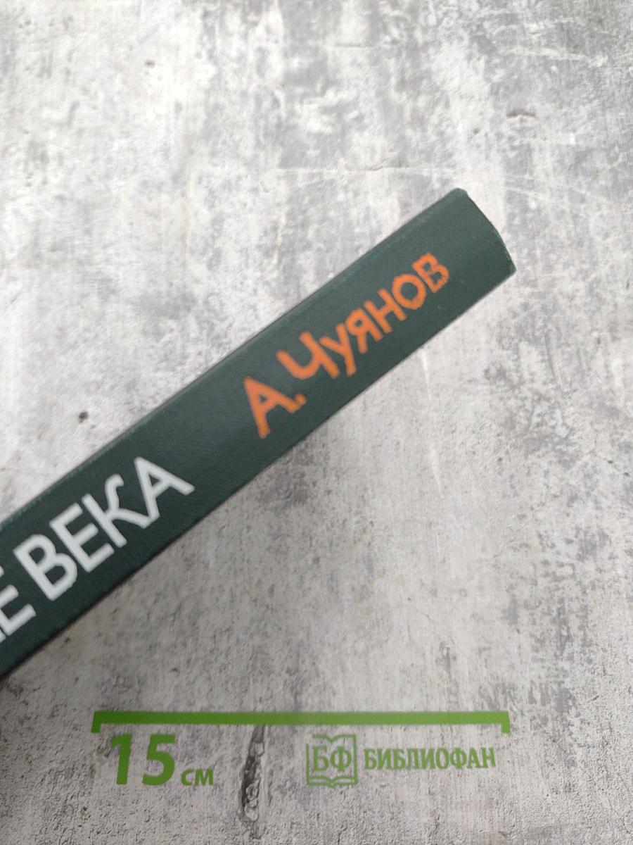 На стремнине века