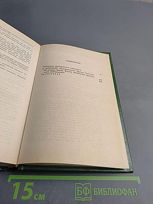 Любовница французского лейтенанта