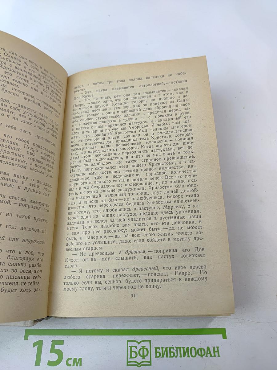 Дон Кихот Ламанчский. Часть первая