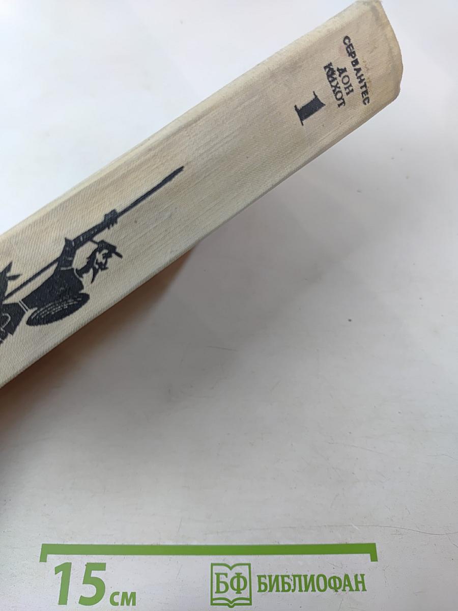 Дон Кихот Ламанчский. Часть первая