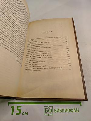 Владелец Йокнапатофы