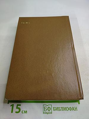 Владелец Йокнапатофы