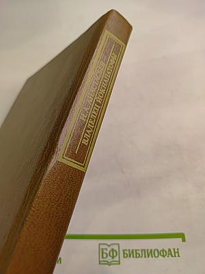 Владелец Йокнапатофы