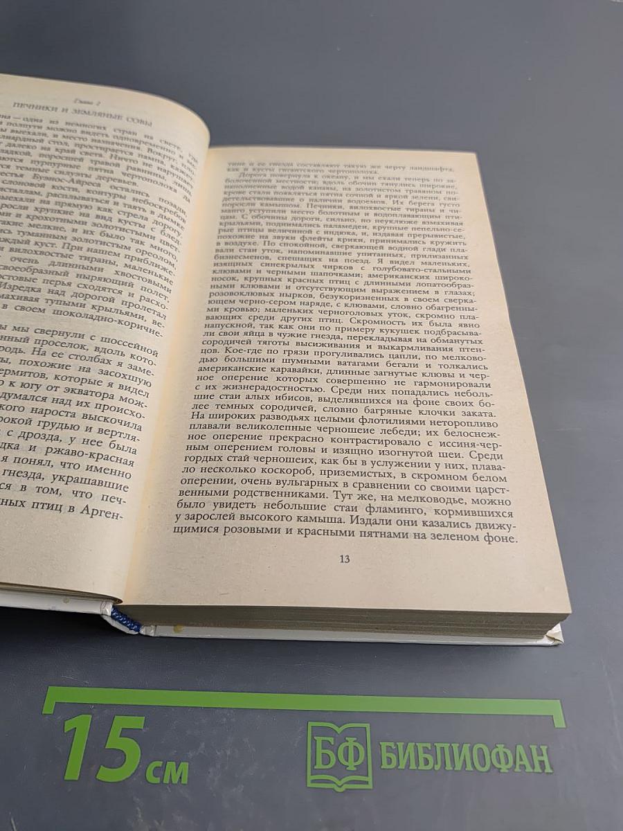 Под пологом пьяного леса