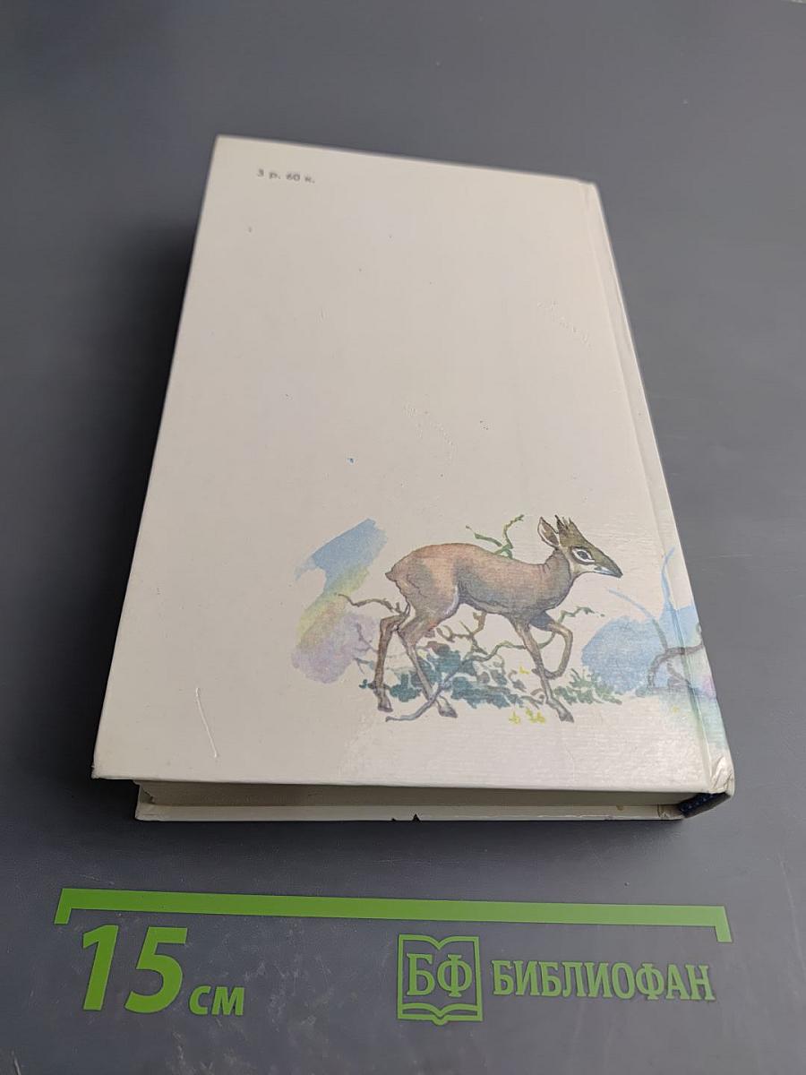 Под пологом пьяного леса