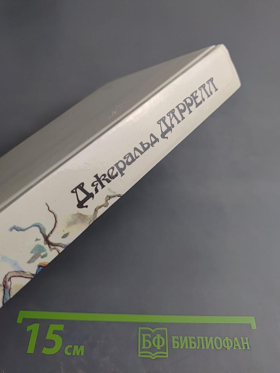 Под пологом пьяного леса